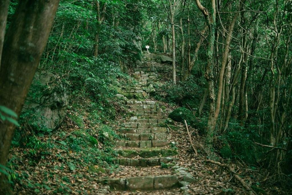 🏯 명덕사【조동종】 (묘토쿠지【소토슈】) 이미지 7